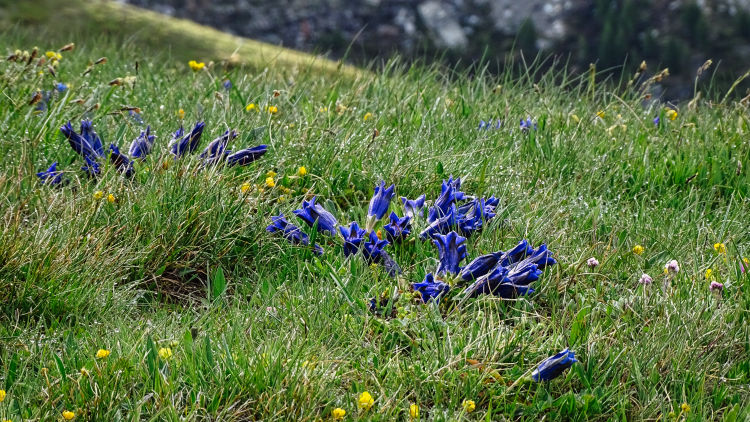 Randonnée au fond d'Aussois en Vanoise