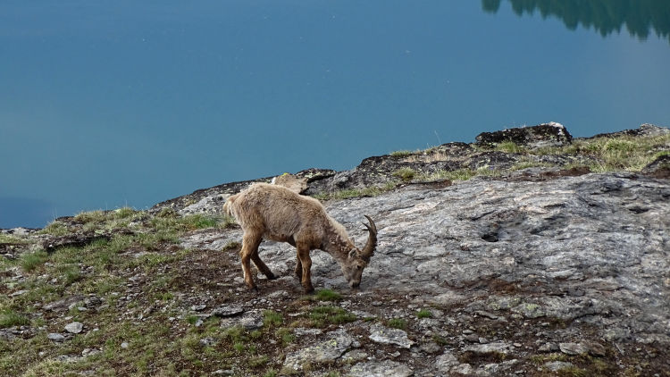 Randonnée au fond d'Aussois en Vanoise