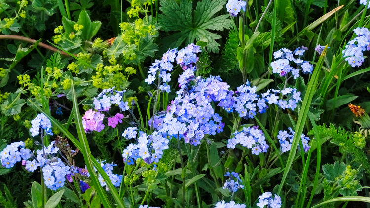 Randonnée au refuge des lacs Merlet en Vanoise